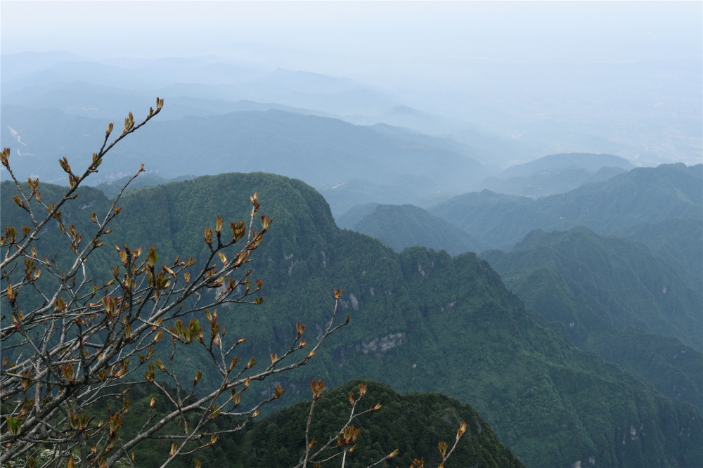 点击大图看下一张：一组四川山顶风景图片