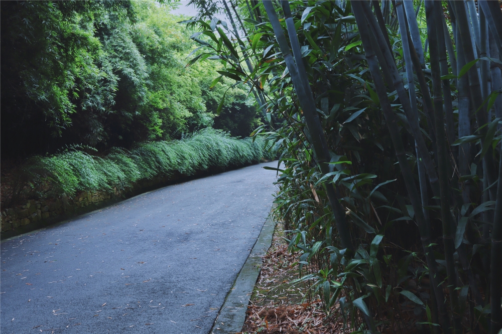 点击大图看下一张：一组四川山顶风景图片