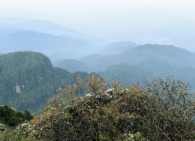 一组四川山顶风景图片