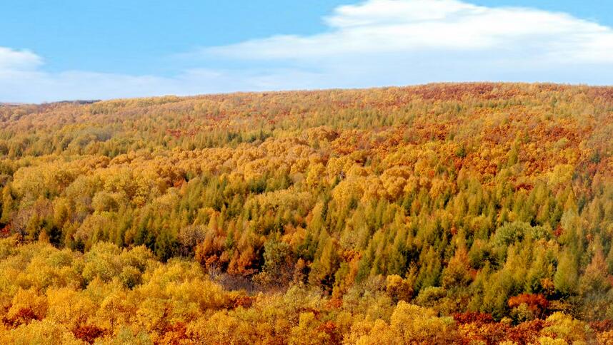 点击大图看下一张：北大荒的秋天图片
