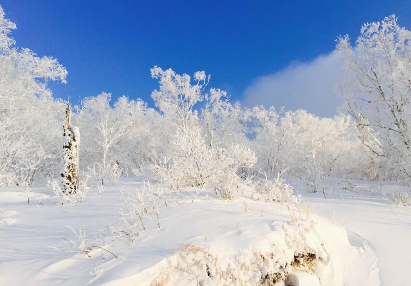 点击大图看下一张：世界最美的冰雪风光图片