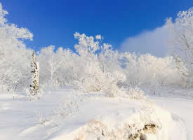 世界最美的冰雪风光图片
