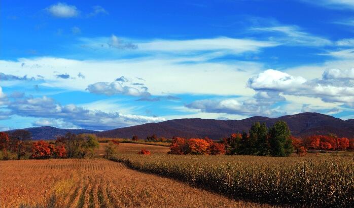 点击大图看下一张：一组美丽的北大荒秋季景色图片