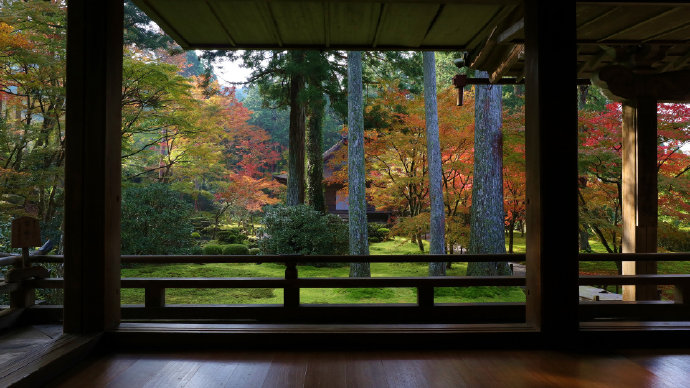 点击大图看下一张：京都的秋，凉而不寒