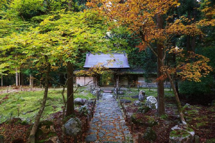 点击大图看下一张：京都的秋，凉而不寒