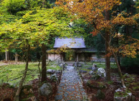 京都的秋，凉而不寒
