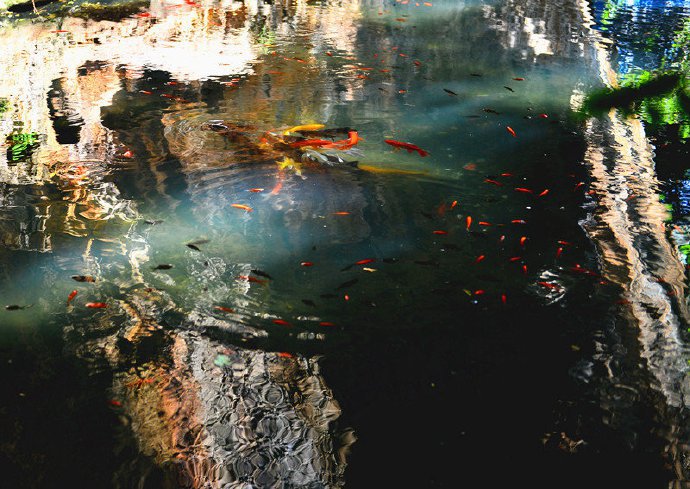点击大图看下一张：池映岩石，光射游鱼