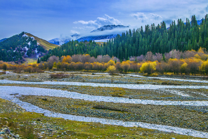 点击大图看下一张：新疆巩乃斯的秋，风景如画