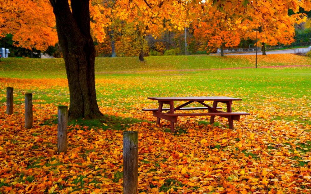 点击大图看下一张：绝美秋季风光图片桌面壁纸