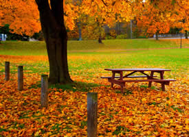 绝美秋季风光图片桌面壁纸