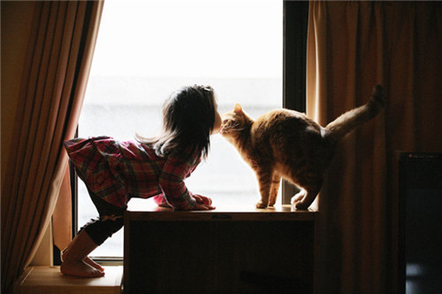 点击大图看下一张：猫咪和孩子的温馨画面