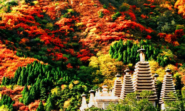 点击大图看下一张：北京香山公园的秋季美景图