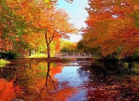 北京香山公园的秋季美景图