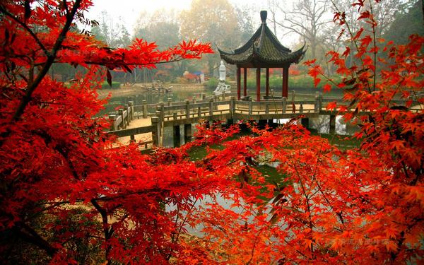 点击大图看下一张：南京栖霞山秋天图片
