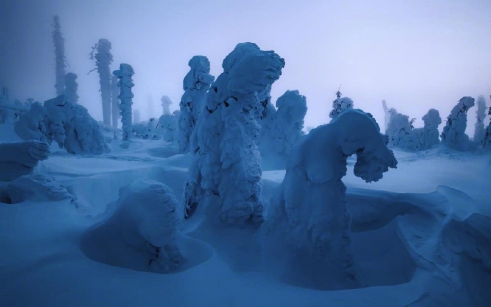 点击大图看下一张：冬季森林雪景图片桌面壁纸
