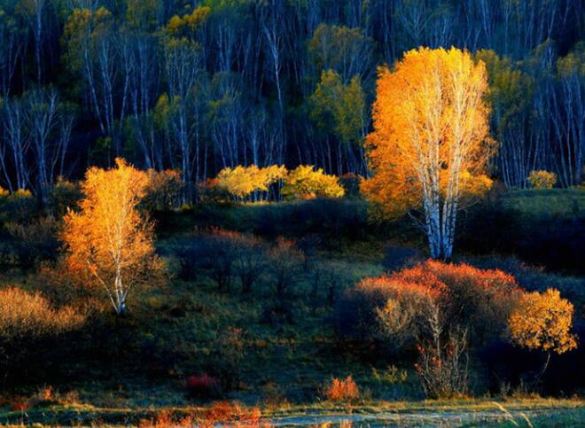 点击大图看下一张：富饶美丽的坝上草原秋天图片
