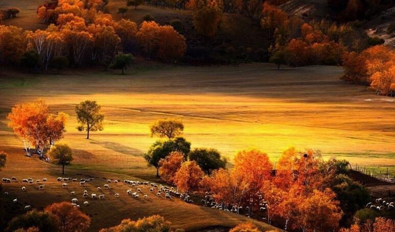 点击大图看下一张：一组秋天的坝上草原图片
