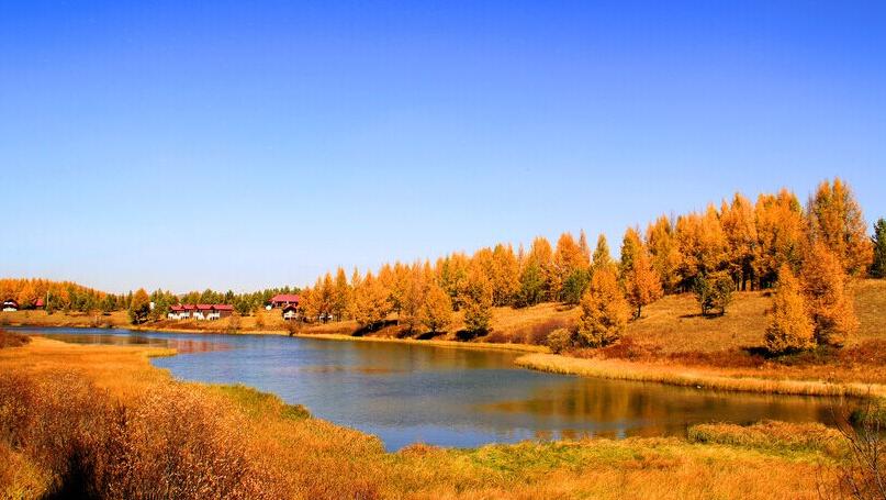 点击大图看下一张：一组秋天的坝上草原图片