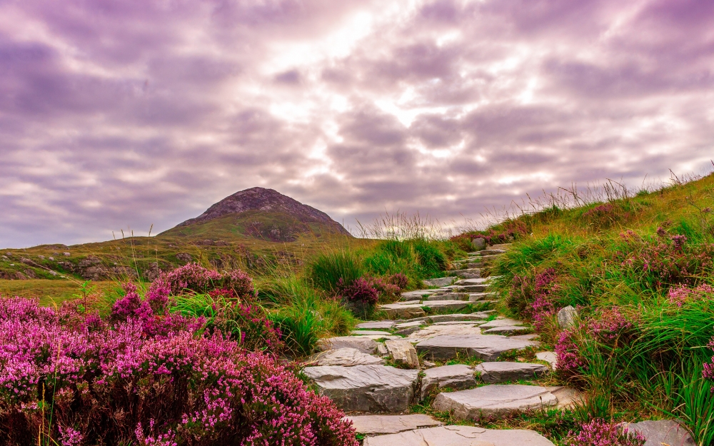 点击大图看下一张：爱尔兰国家公园唯美风景桌面壁纸