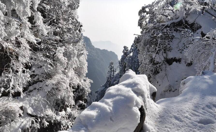 点击大图看下一张：白茫茫的峨眉山雪景图片