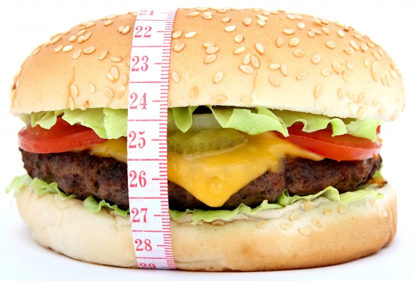 点击大图看下一张：营养全面的汉堡图片