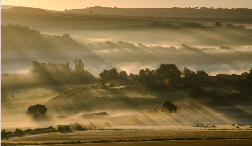 点击大图看下一张：云雾袅袅的清晨平原风景图片
