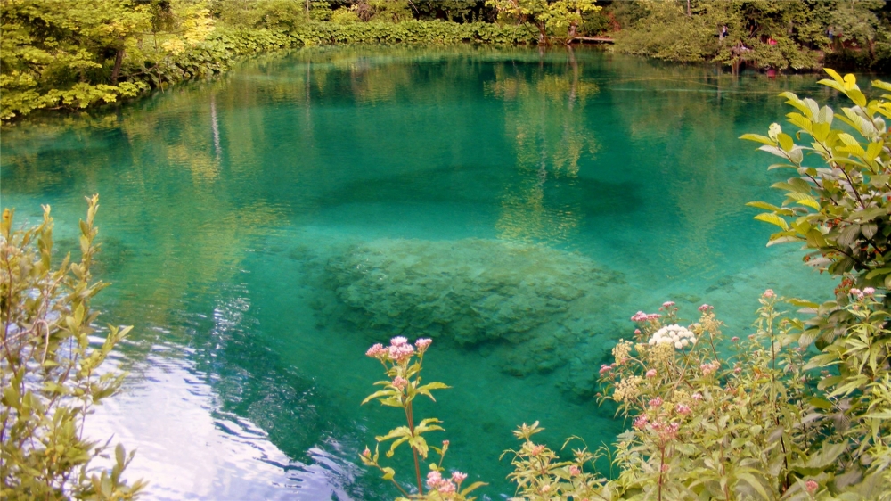 点击大图看下一张：普利特维采湖群国家公园美景高清壁纸