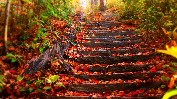 点击大图看下一张：唯美秋季风景线桌面壁纸