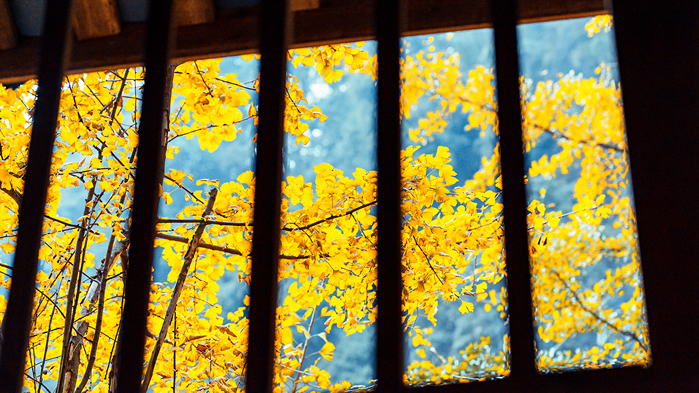 点击大图看下一张：唯美秋季风景线桌面壁纸