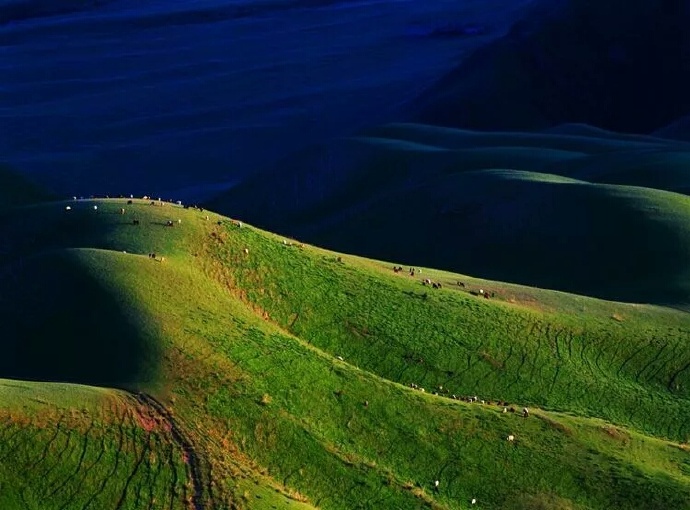 点击大图看下一张：美丽的喀拉峻草原