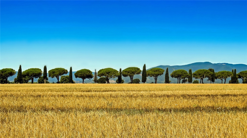 点击大图看下一张：意大利托斯卡纳风景高清桌面壁纸