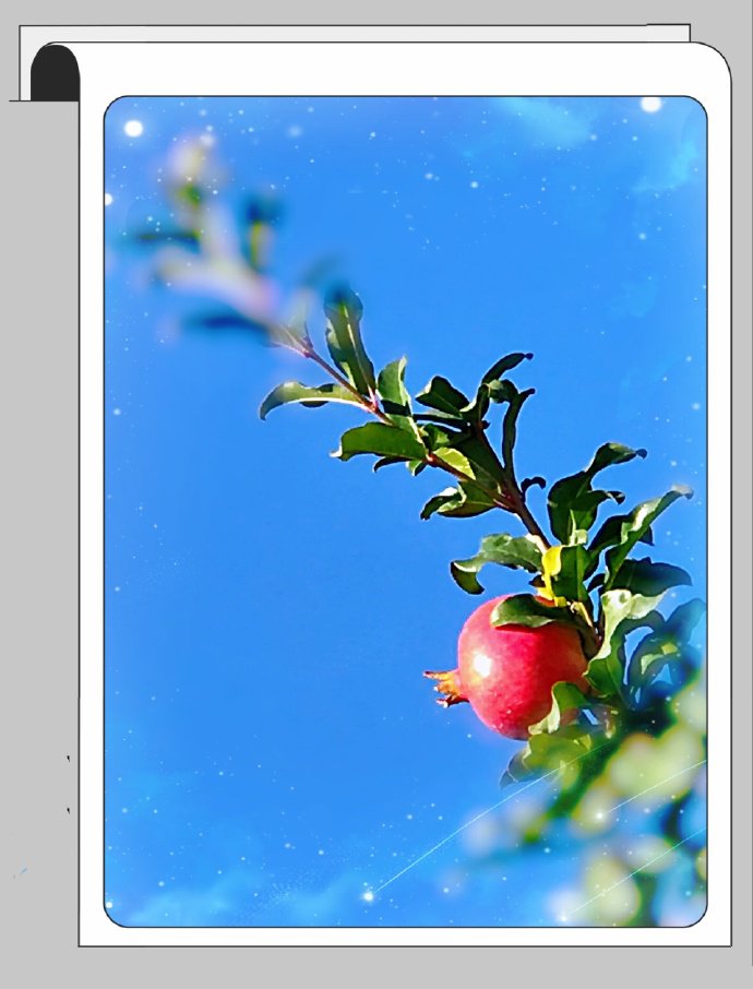 点击大图看下一张：一组挂树枝上超红的石榴图片