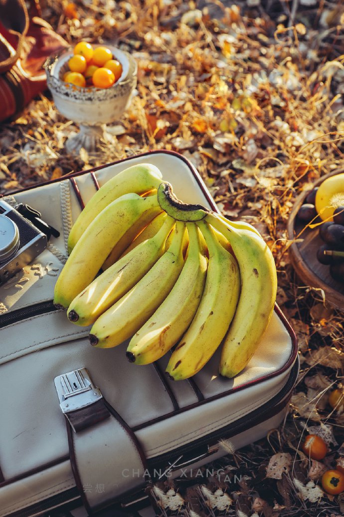 点击大图看下一张：迷人的秋色里的香蕉图片