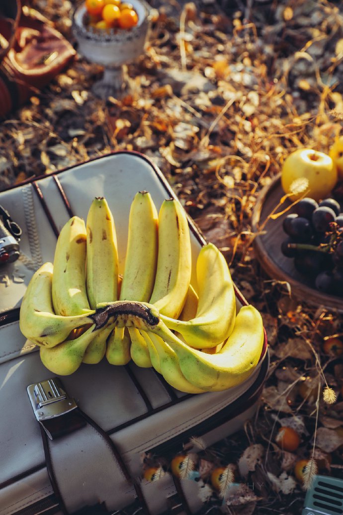 点击大图看下一张：迷人的秋色里的香蕉图片