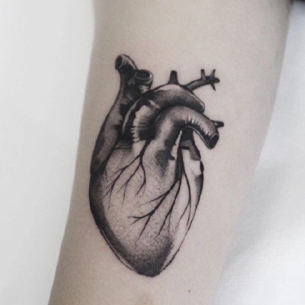 点击大图看下一张：一组小清新高质量心脏纹身图案