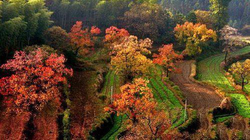点击大图看下一张：一组童话般的秋季美景图
