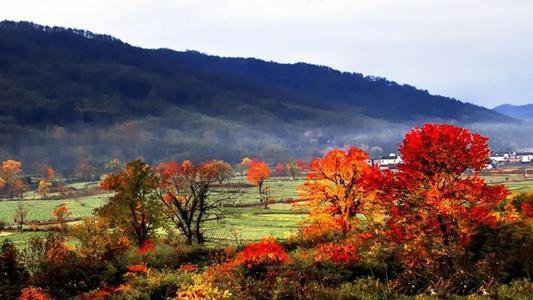 点击大图看下一张：一组童话般的秋季美景图