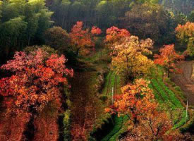 一组童话般的秋季美景图