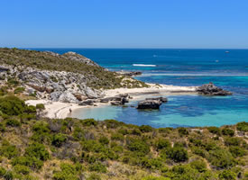 澳大利亚洛特尼斯岛风景桌面壁纸