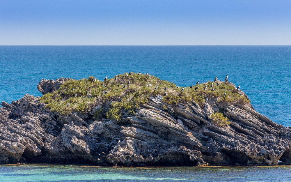 点击大图看下一张：澳大利亚洛特尼斯岛风景桌面壁纸