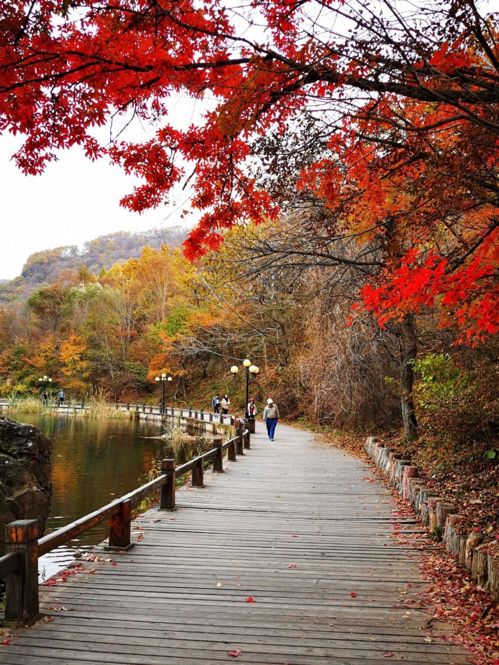 点击大图看下一张：秋季的关门山国家森林公园图片