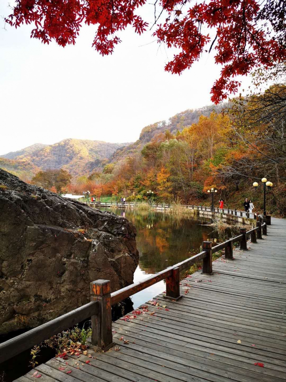 点击大图看下一张：秋季的关门山国家森林公园图片