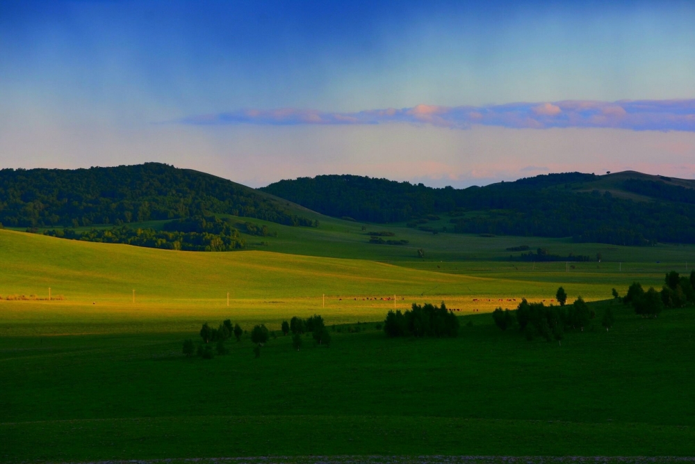 点击大图看下一张：让人着迷的乌兰布统草原风光