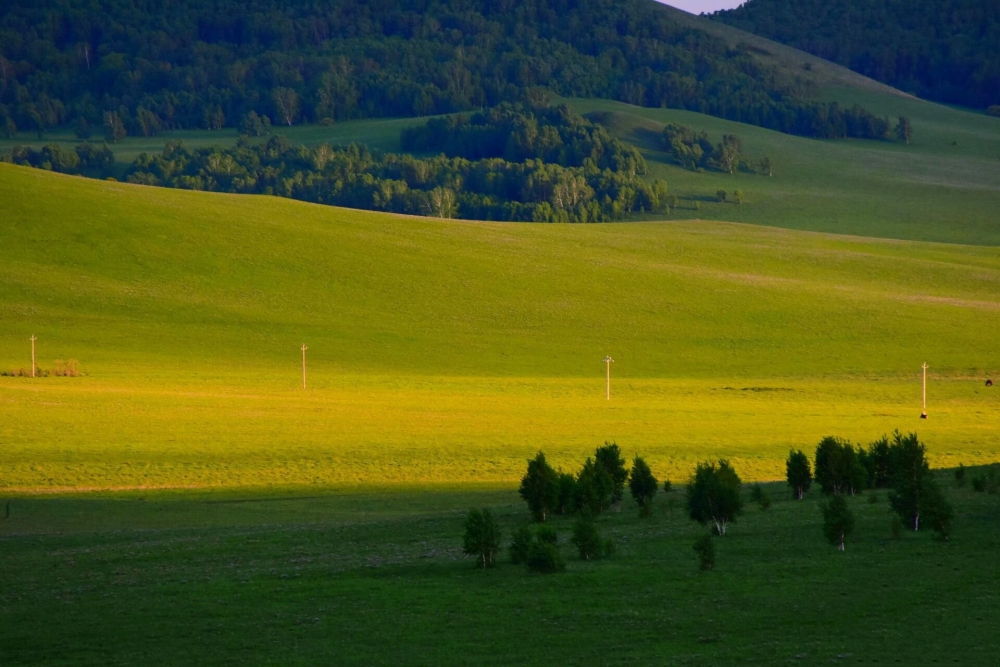 点击大图看下一张：让人着迷的乌兰布统草原风光