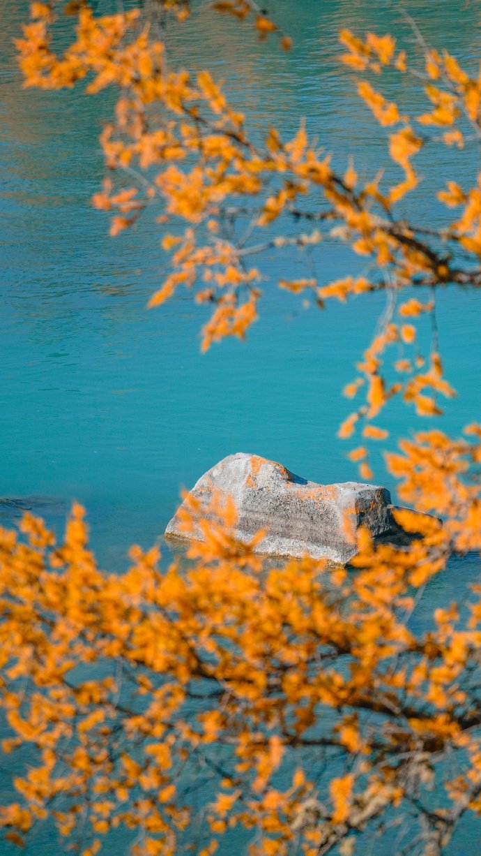 点击大图看下一张：新疆的秋天，美成了仙境