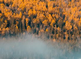 新疆的秋天，美成了仙境
