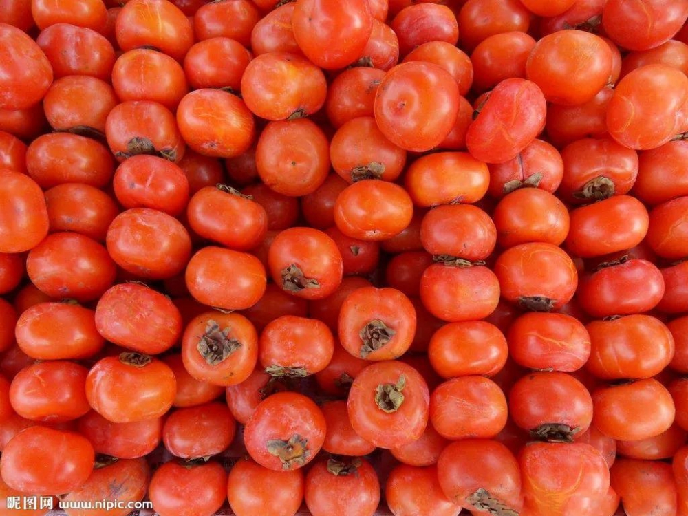 点击大图看下一张：一组诱人新鲜的柿子图片