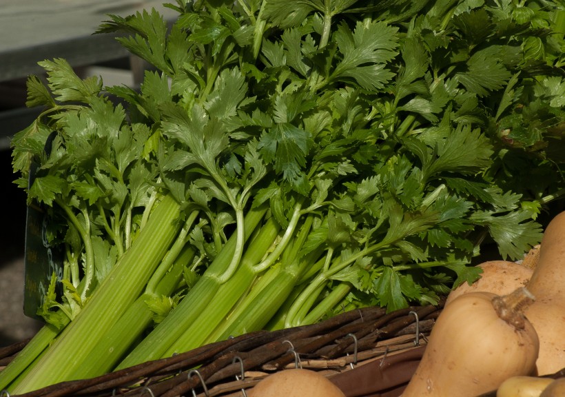 点击大图看下一张：新鲜绿色的芹菜图片