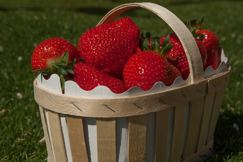 点击大图看下一张：鲜红可口的草莓图片