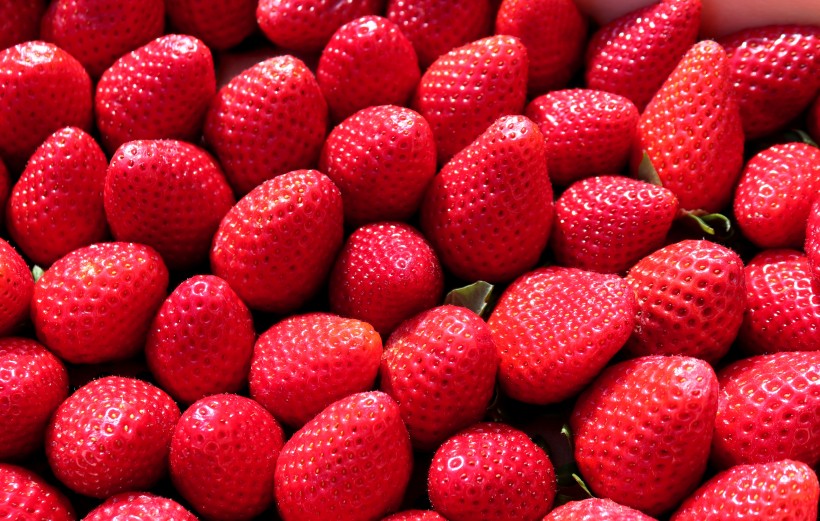点击大图看下一张：鲜红可口的草莓图片